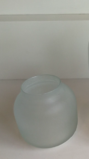 Frosted Glass Vase S